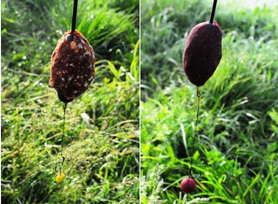 MAI - naditoare-pescuit-sulimanu.jpg